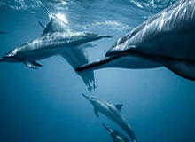 乐鱼体育官方网站-裁判评议：程进踩踏构成严重犯规，麦麦提江回看出示红牌决定正确